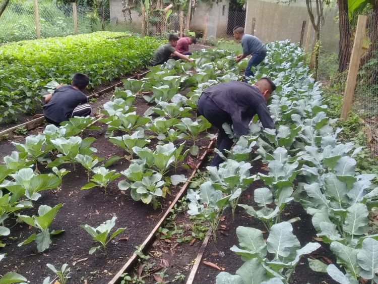 Youth working in Mexico